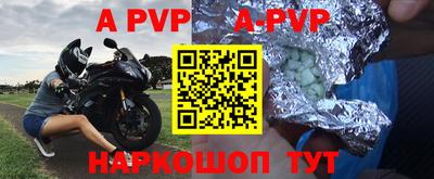дурь Кингисепп