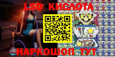 дурь Кингисепп