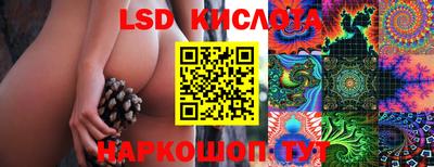 mdpv Кимры