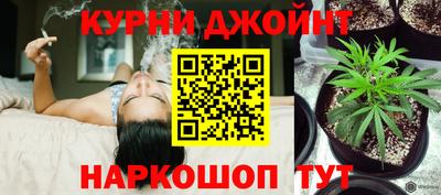 дурь Кингисепп