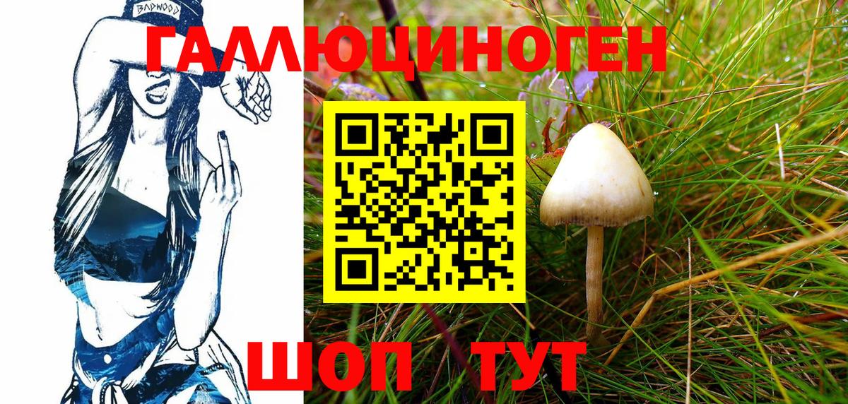 Псилоцибиновые грибы Cubensis  Вход с VPN  Красноярск 